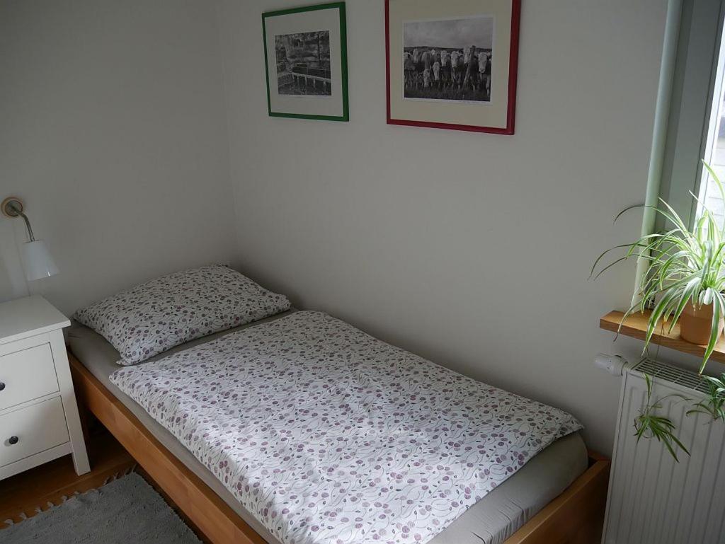 Irreler Muehle Ferienwohnungen Und Ferienhaeuser Exterior photo