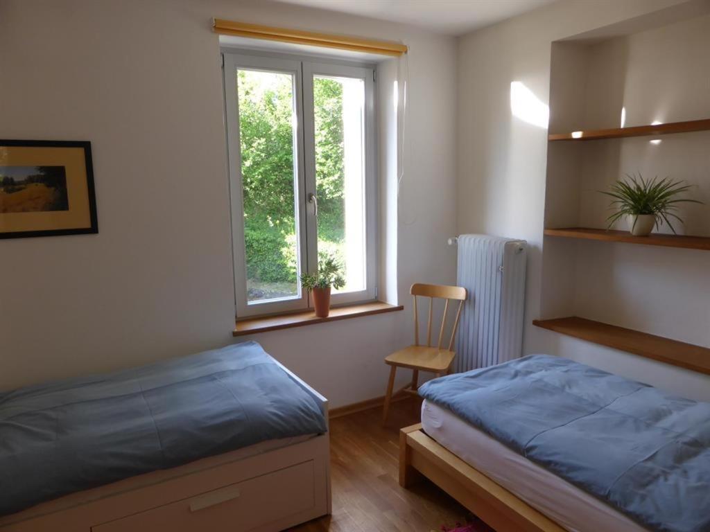 Irreler Muehle Ferienwohnungen Und Ferienhaeuser Exterior photo